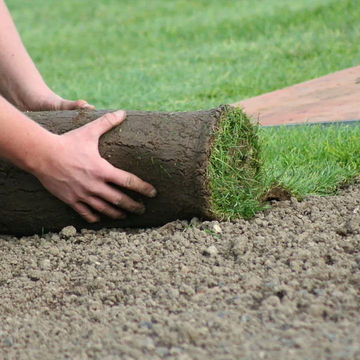 Озеленение