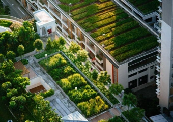 Устройство эксплуатируемых кровель